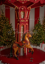 Load image into Gallery viewer, Christmas Backgrounds